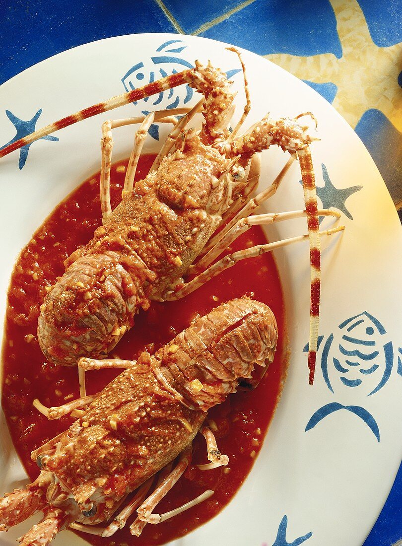 Languste in pikanter Tomatensauce (Langouste i la sétoise)