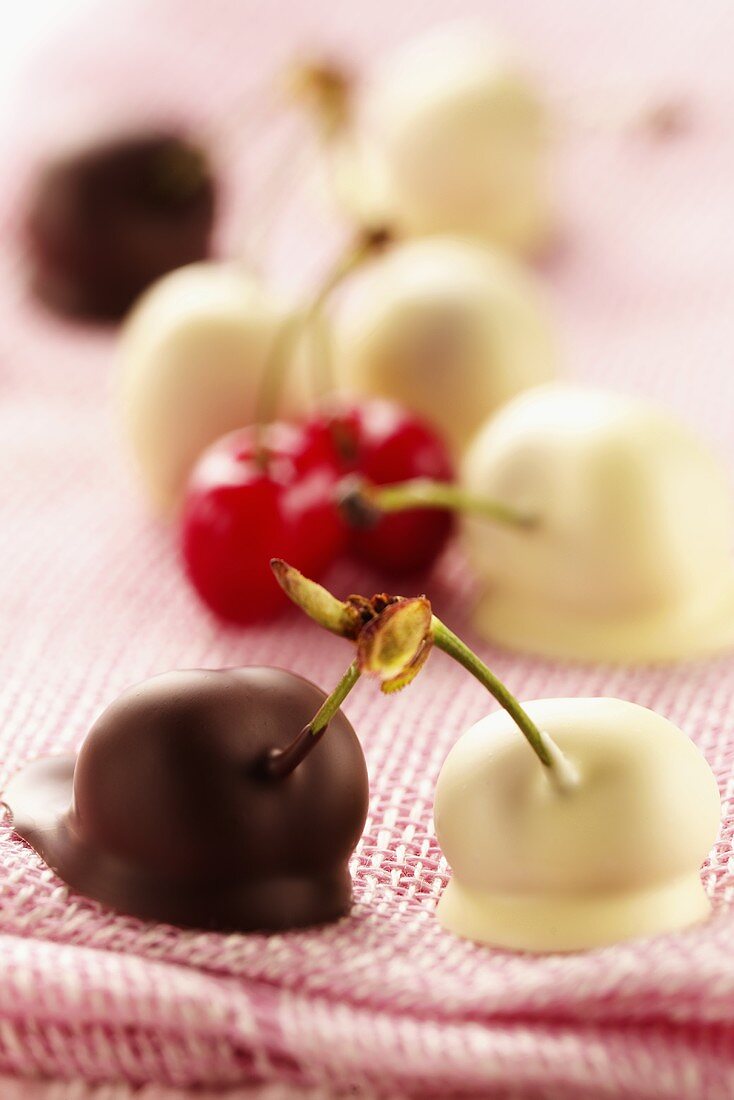 White and dark chocolate cherries