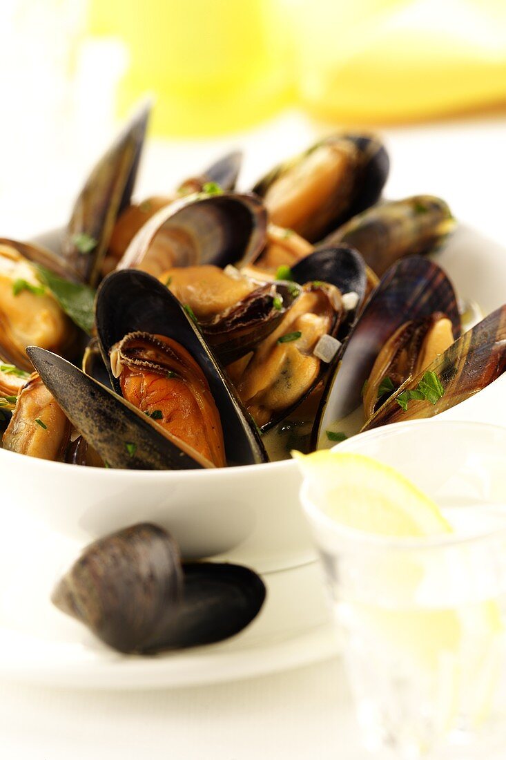 Mussels with cooking liquor, glass of lemon water in front