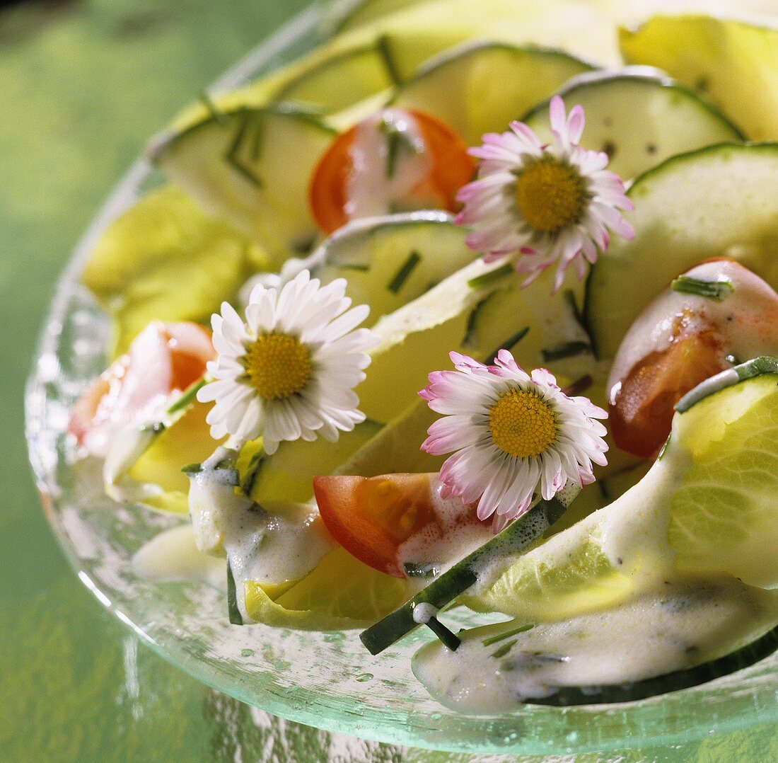 Gemischter Salat mit Joghurtdressing und Gänseblümchen
