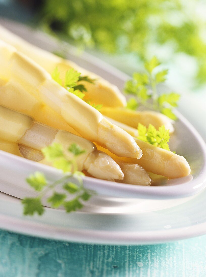 Weisser Spargel mit Sauce Hollandaise – Bilder kaufen – 170478 StockFood