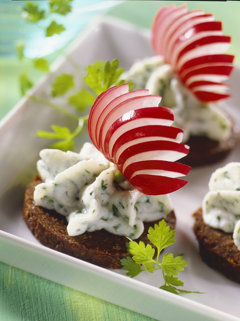 Herb quark with radishes on pumpernickel