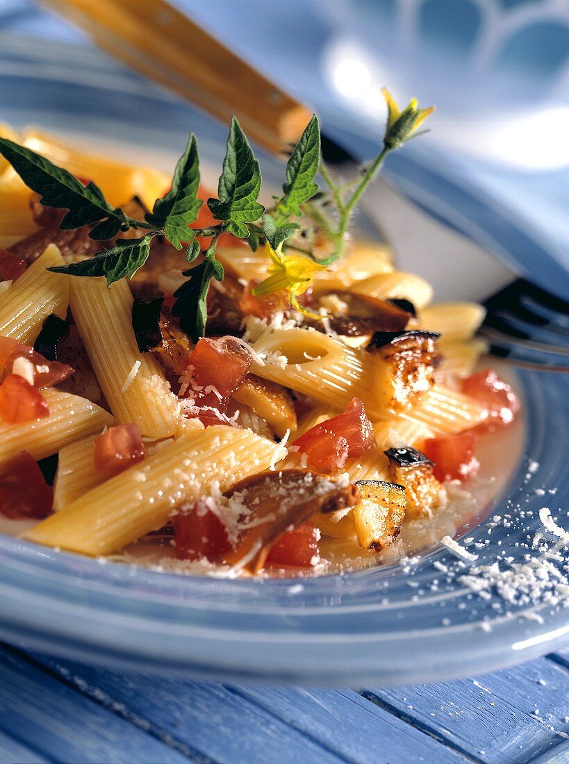 Penne mit Steinpilzen und Auberginen