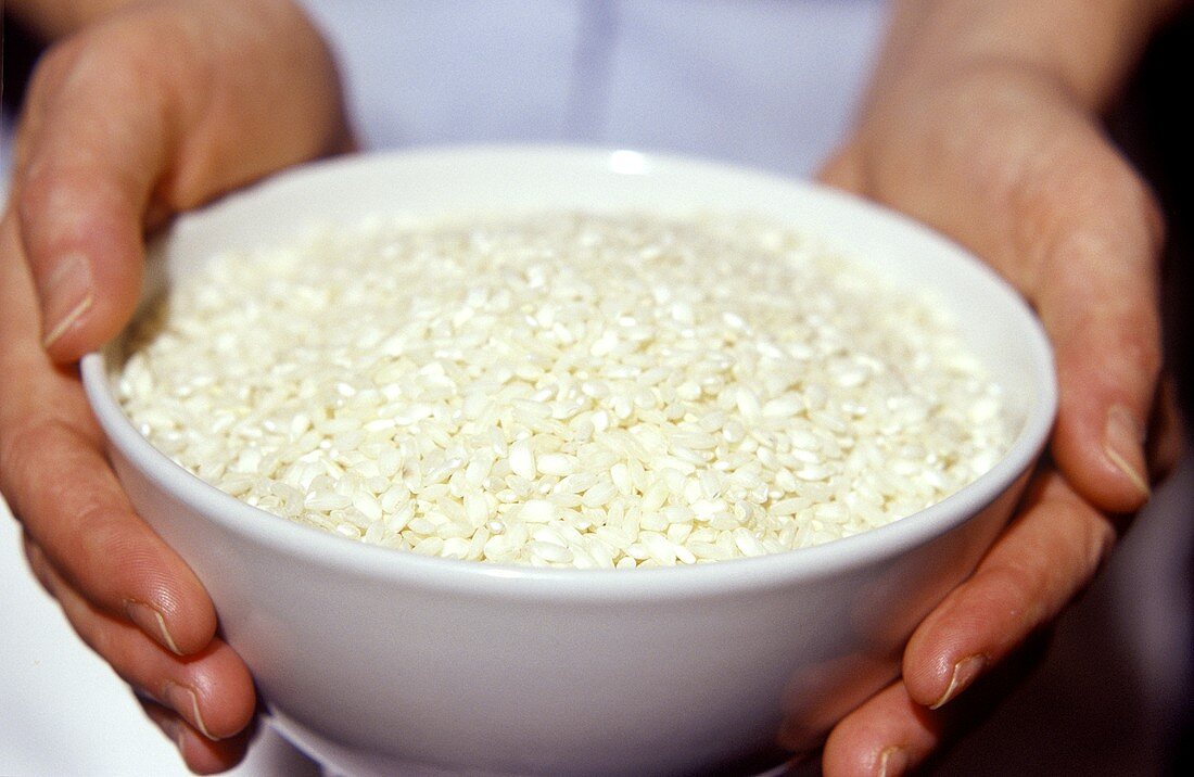 Hands holding bowl of rice