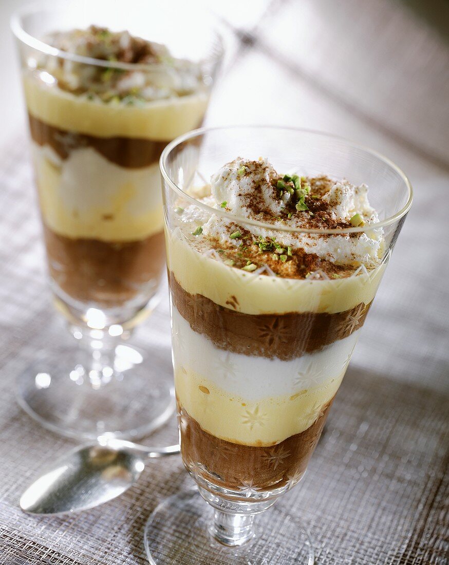 Layered dessert with light and dark chocolate mousse