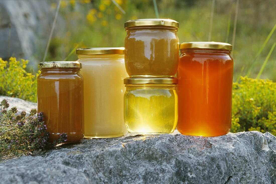 Various types of honey in jars (outdoors)