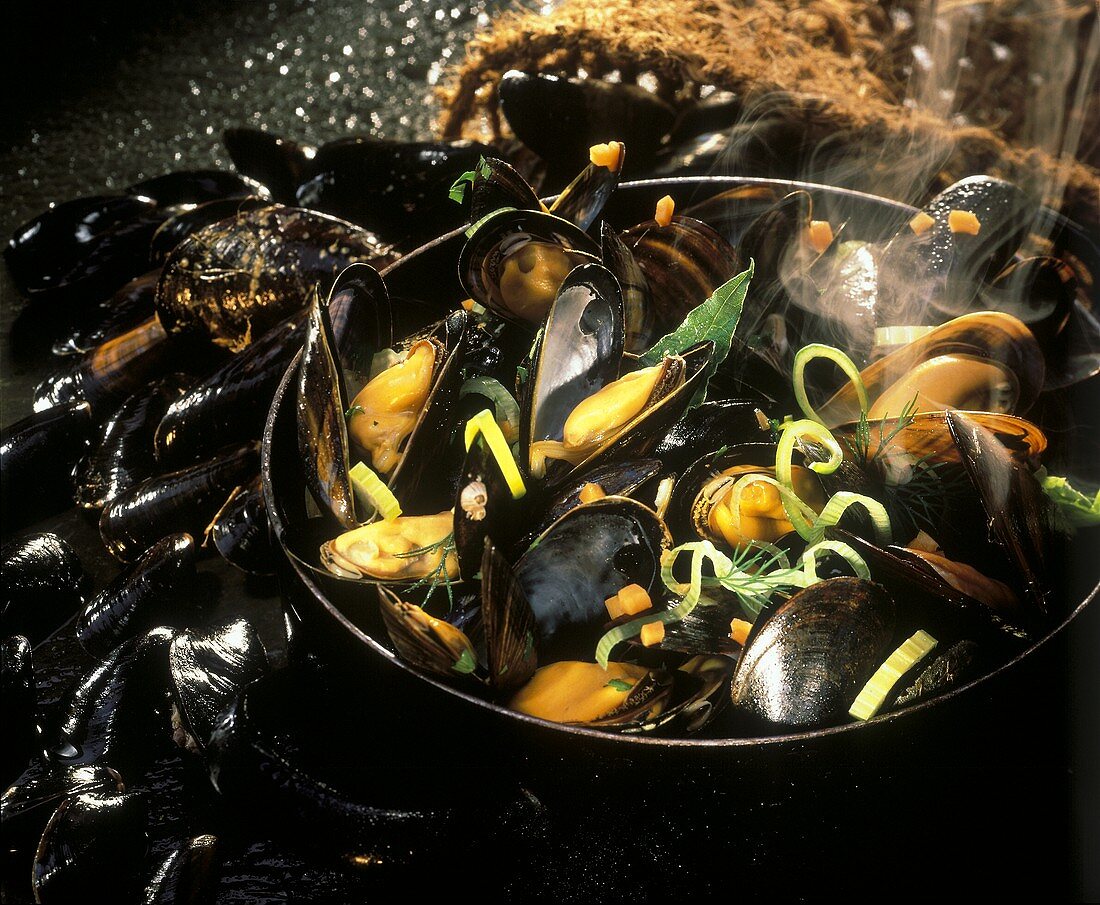 Steaming mussels in pan