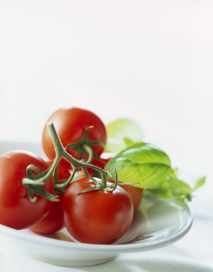 Vine tomatoes with basil