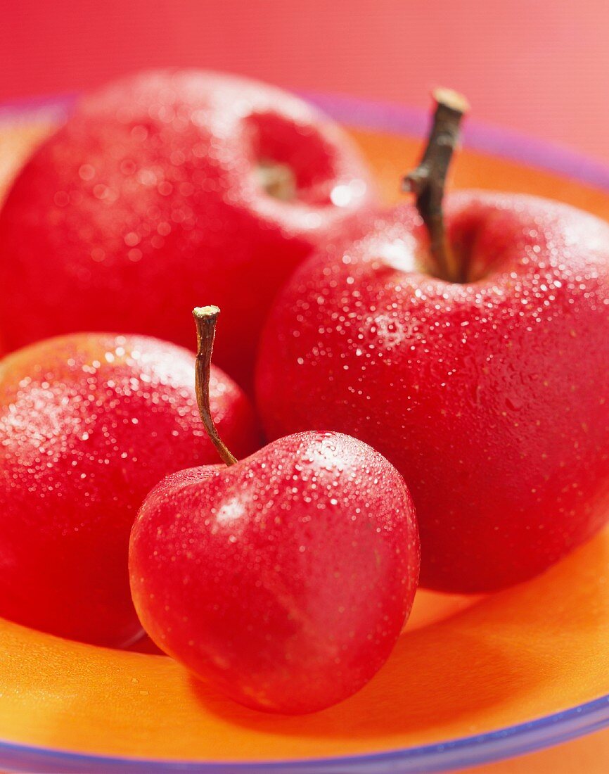 Red apples and a cherry