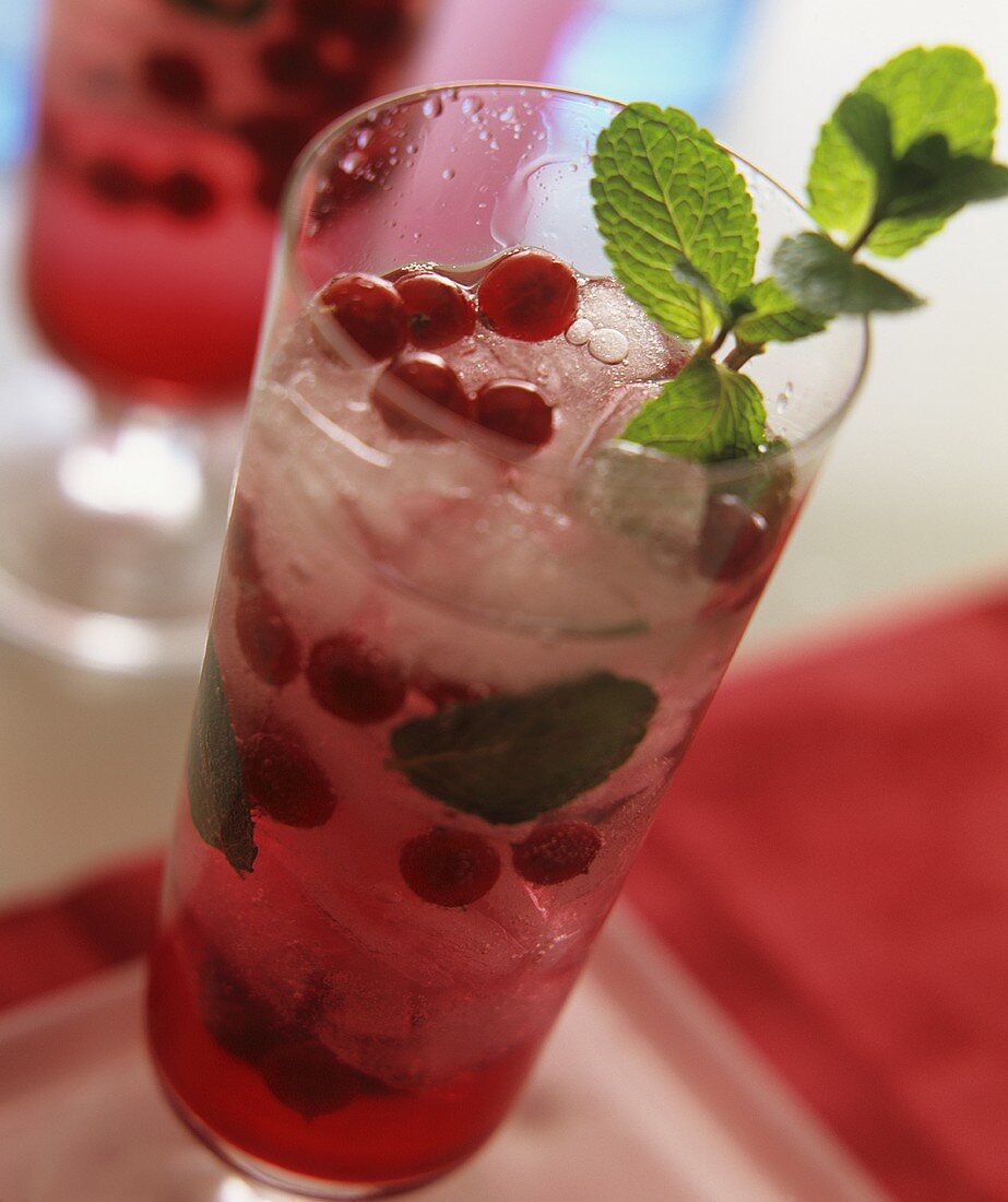 Redcurrant spritzer with mint