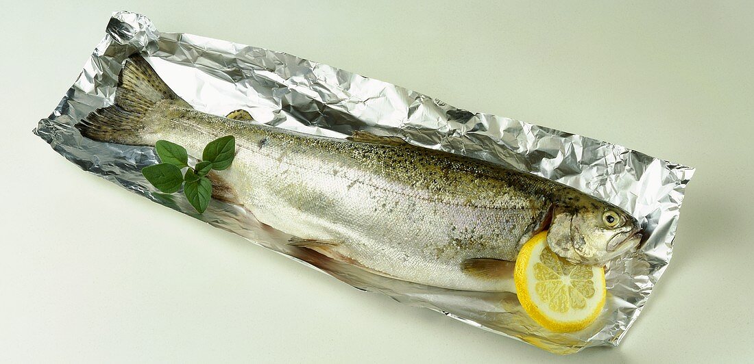 Trout on aluminium foil