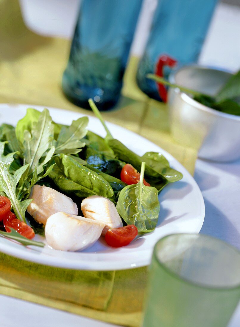 Scallops on mixed salad leaves with spinach and rocket