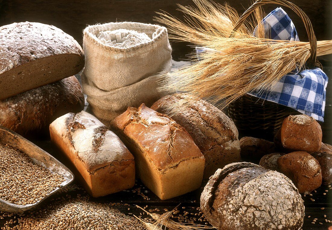 Stillleben mit mehreren Brotsorten, Mehl und Körnern