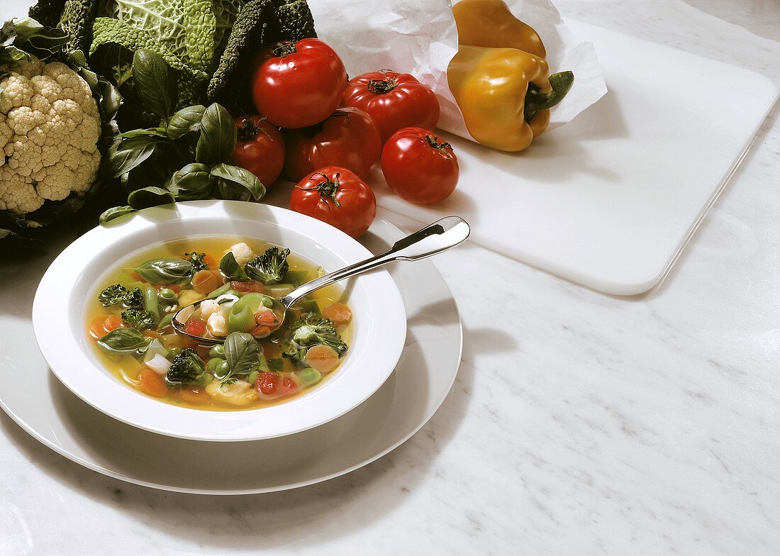 Colorful Vegetable Soup