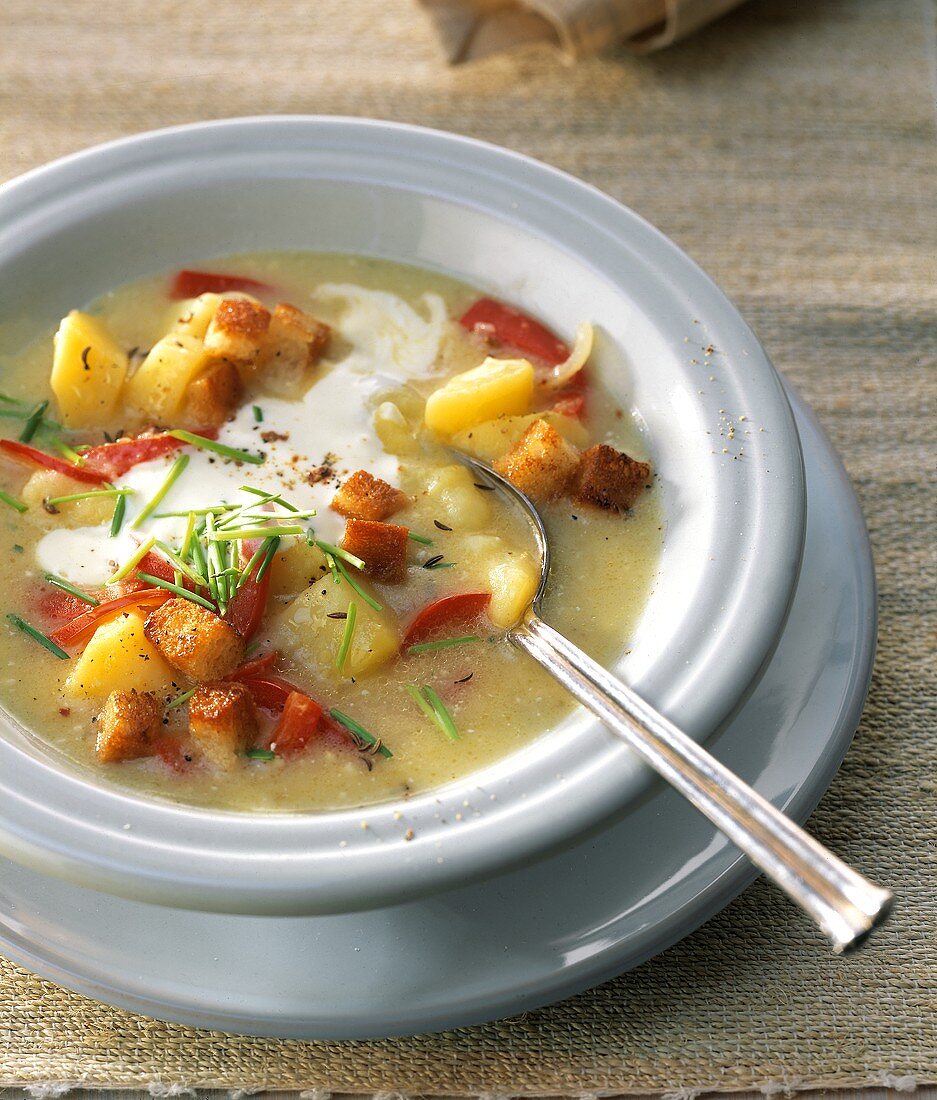 Kartoffel-Paprika-Suppe mit Croûtons