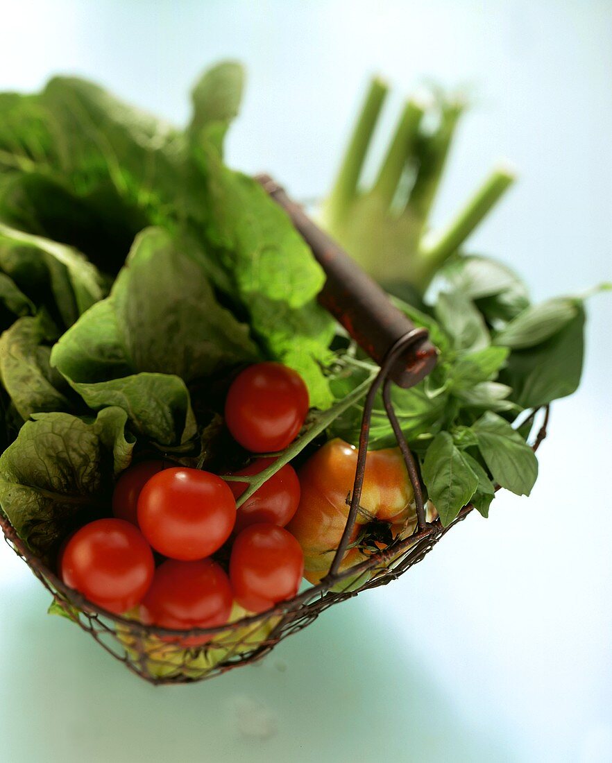 Tomatoes, salad leaves and vegetables in a basket