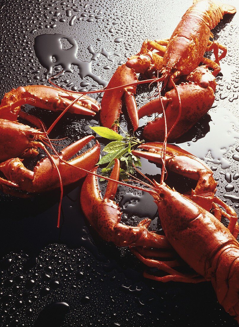Three boiled lobsters on a black table top