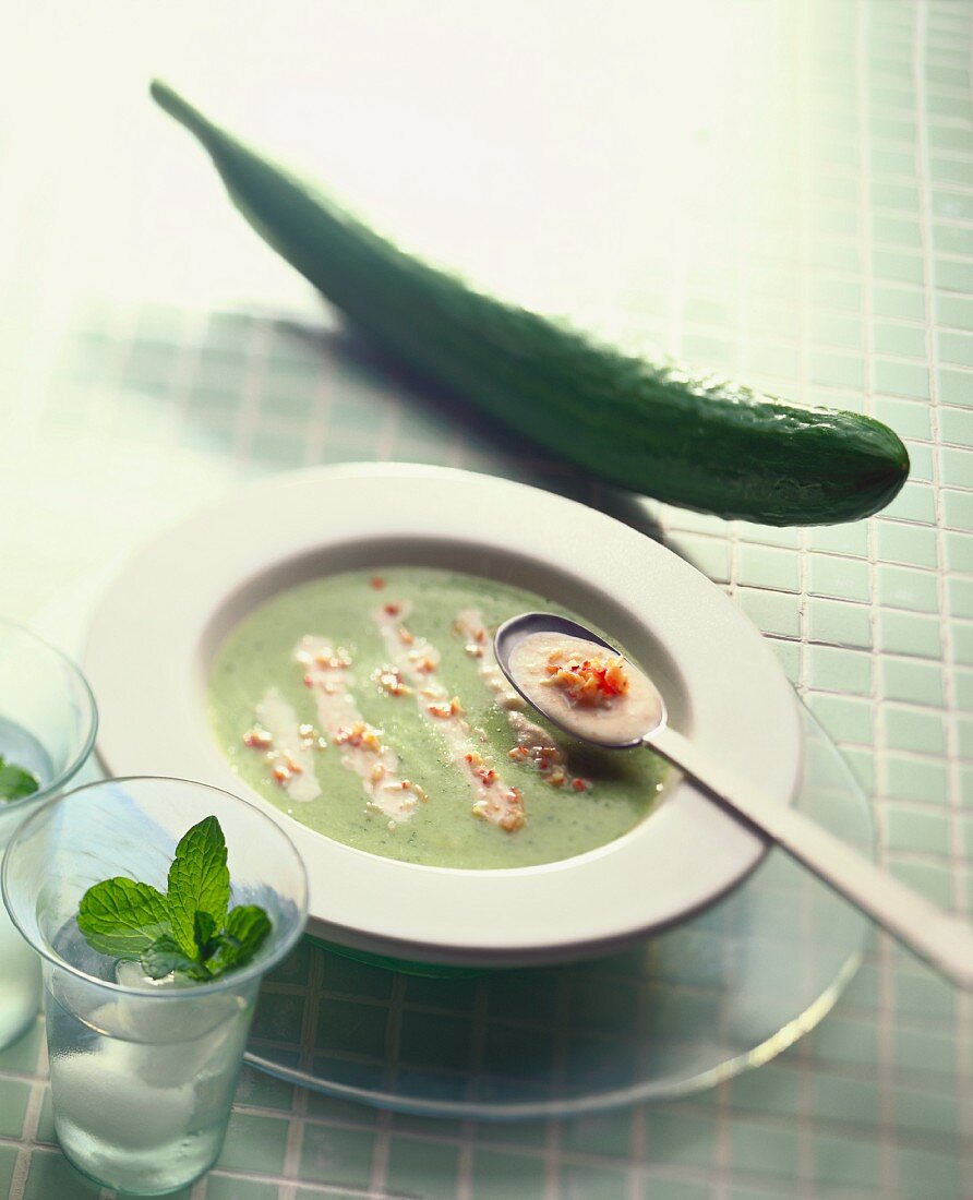 Chilled cucumber soup with shrimps