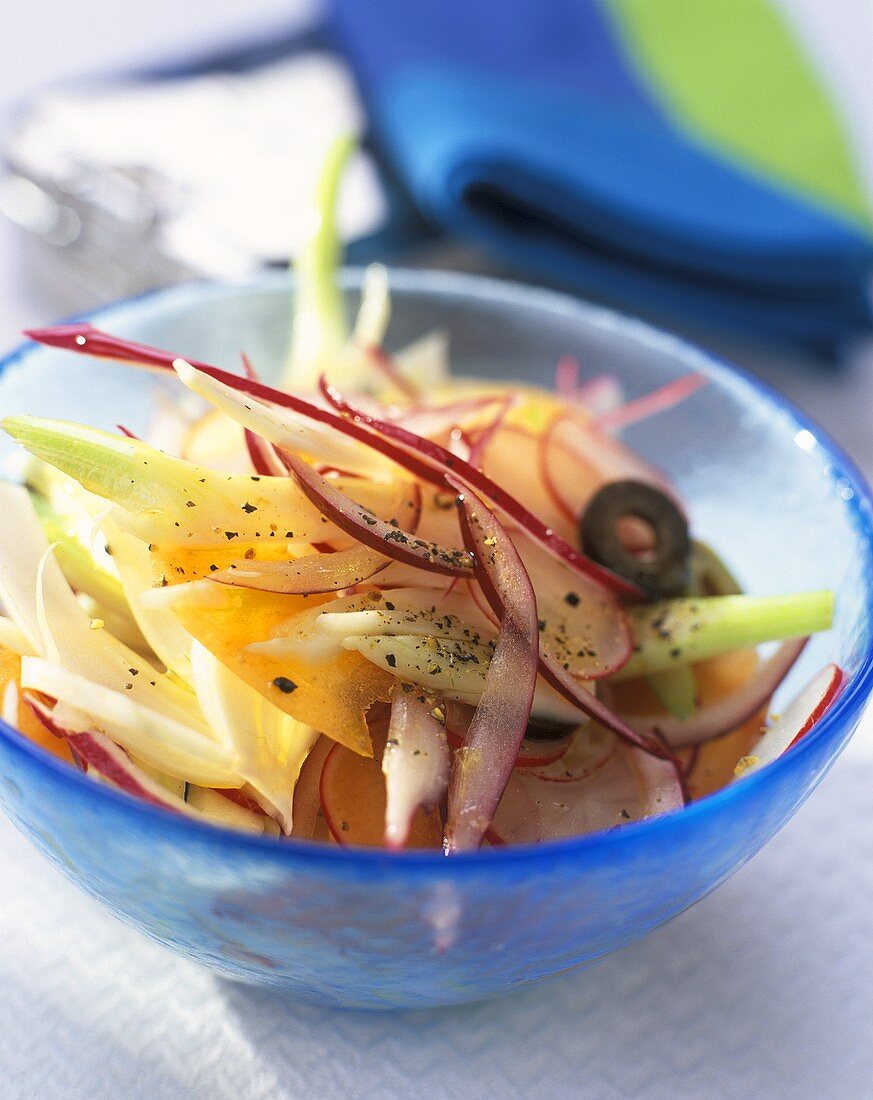 Fenchel-Zwiebel-Salat mit Möhren- und Radieschenscheiben