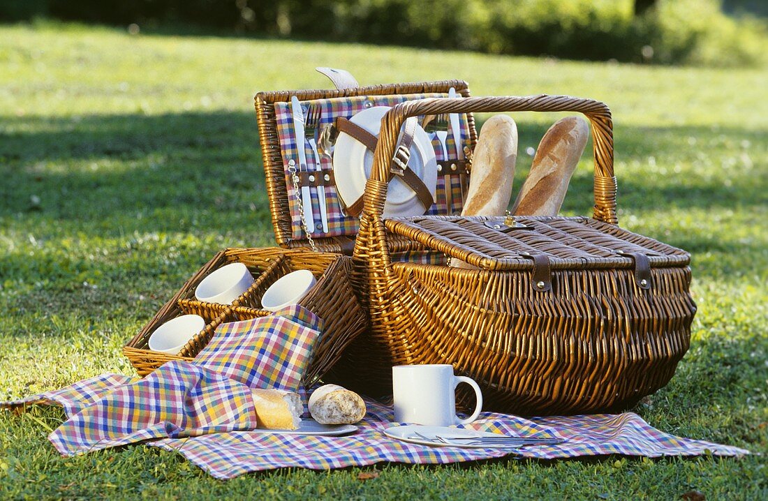 Picnic basket with baguette in meadow