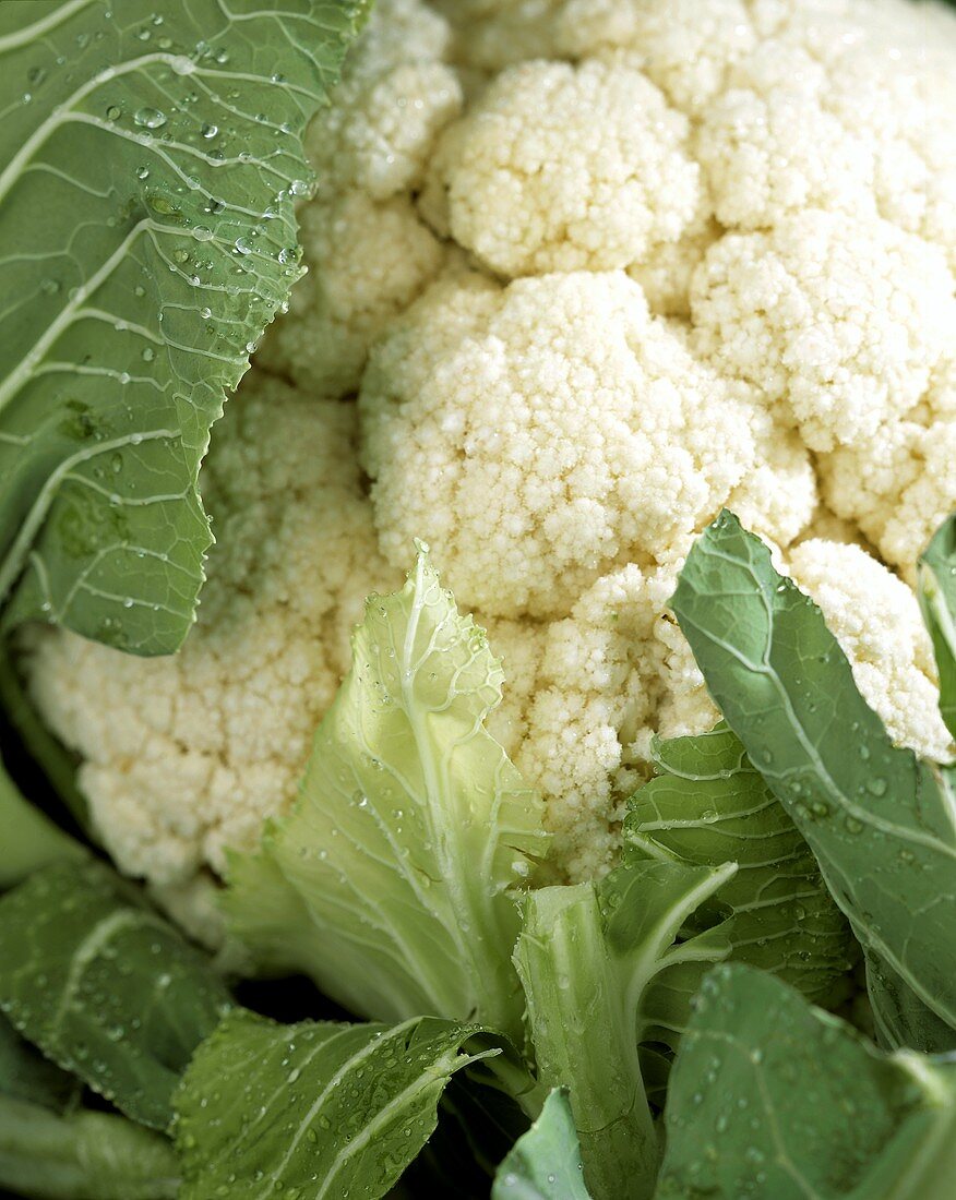 Cauliflower Close Up