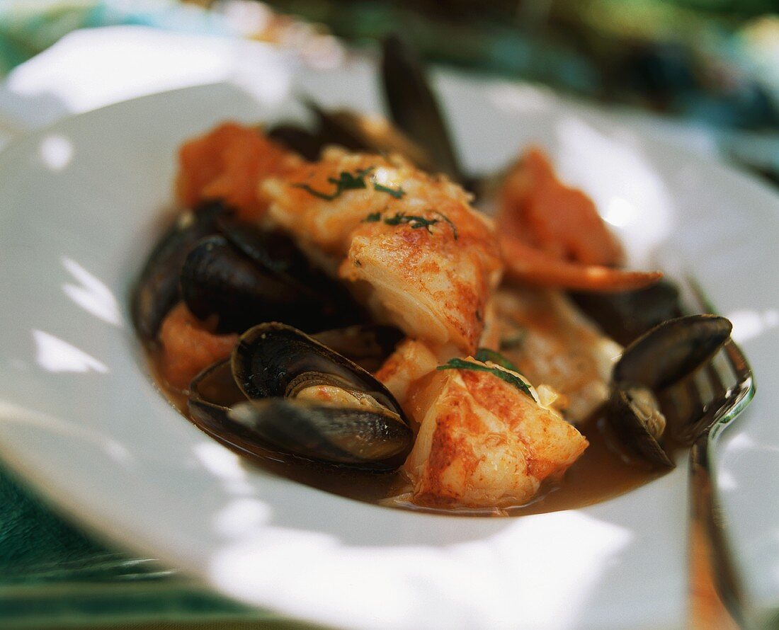 Fish and seafood stew from California