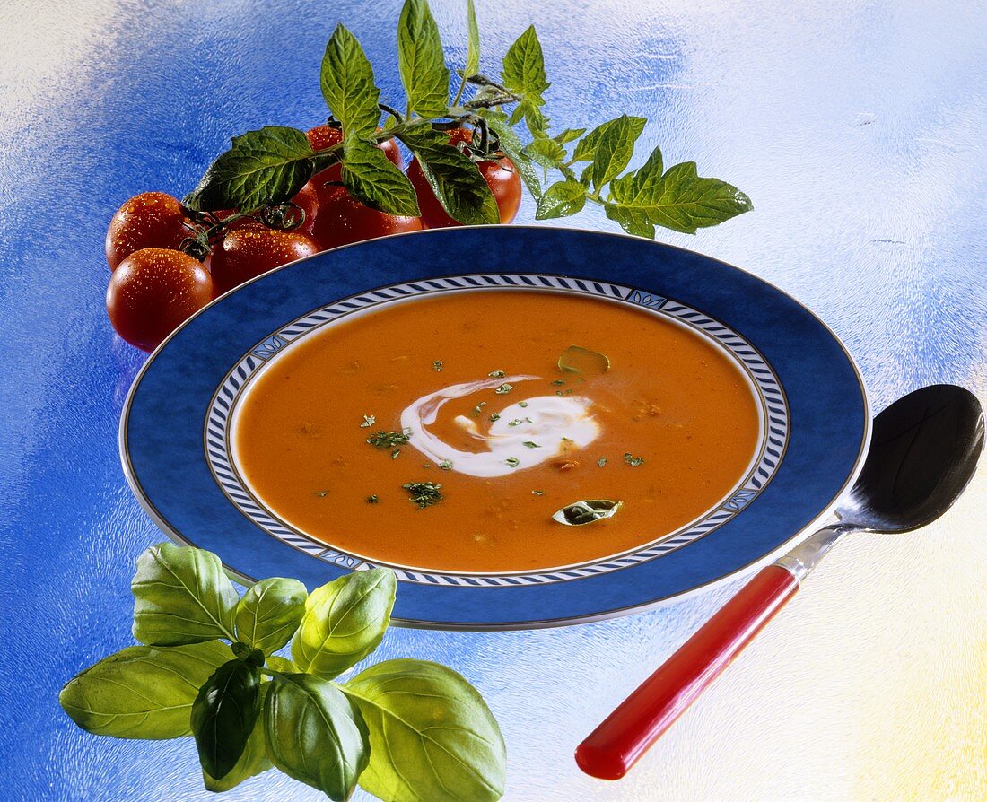Tomato soup with crème fraiche and basil