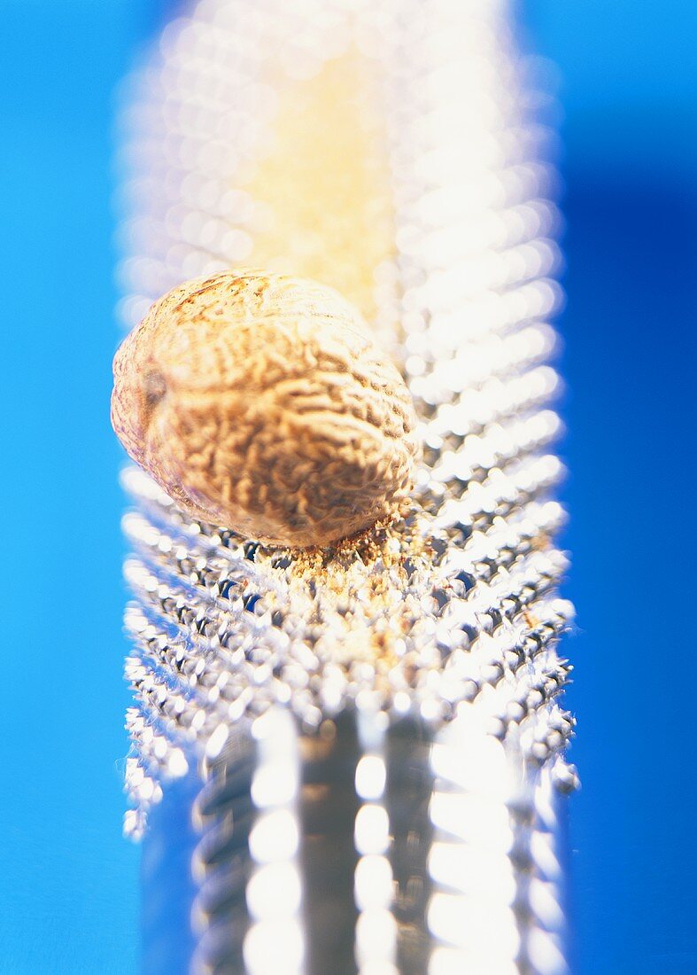 Nutmeg on a grater