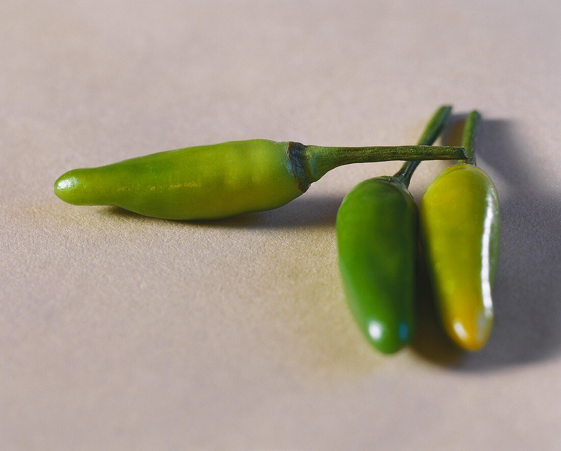 Green chili peppers