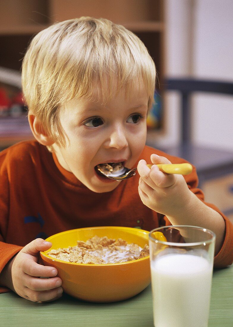 Small boy eating cornflakes