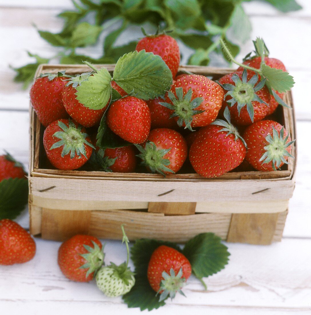 Strawberries with leaves in chip basket