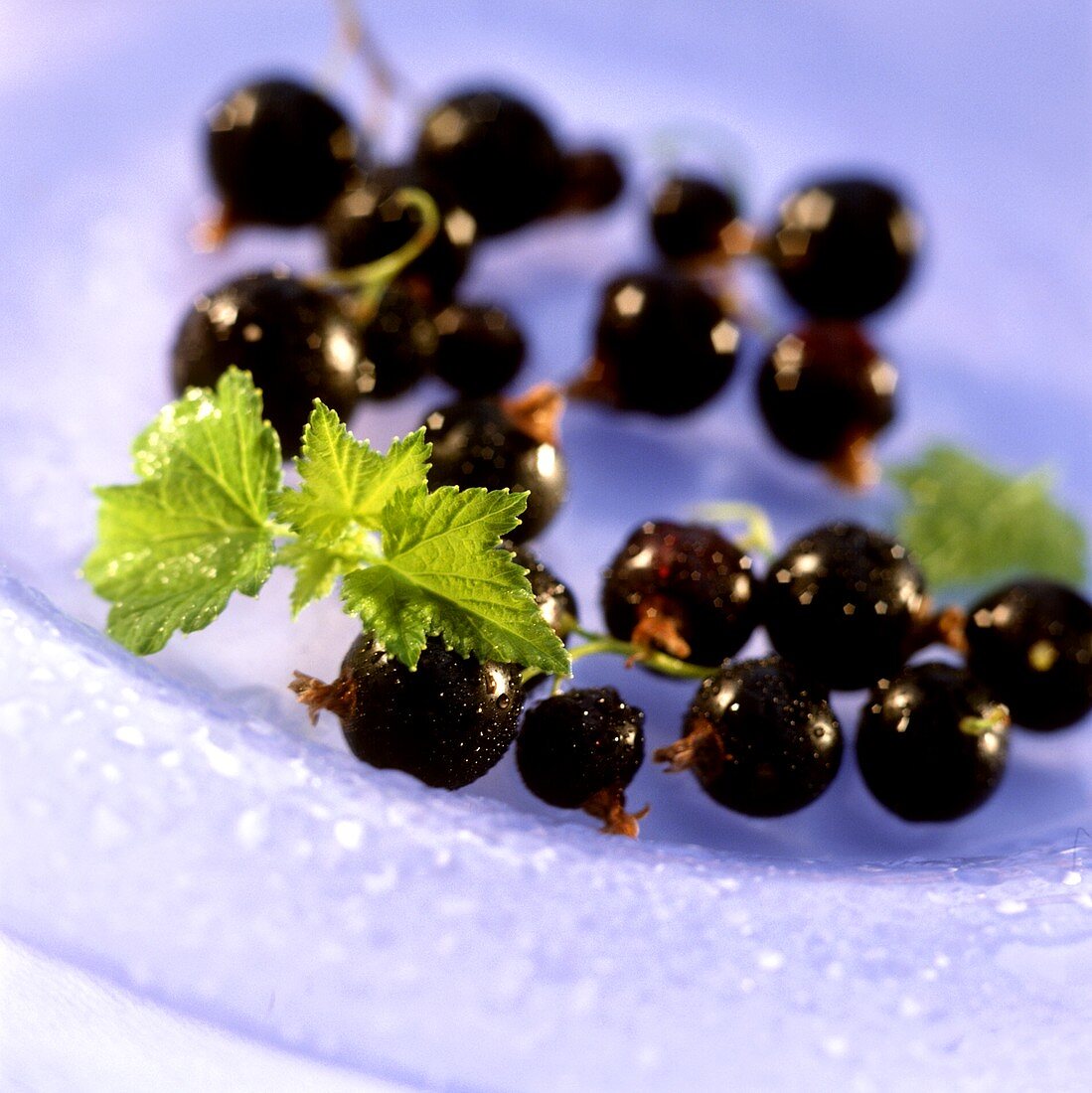Blackcurrants with leaves on plate