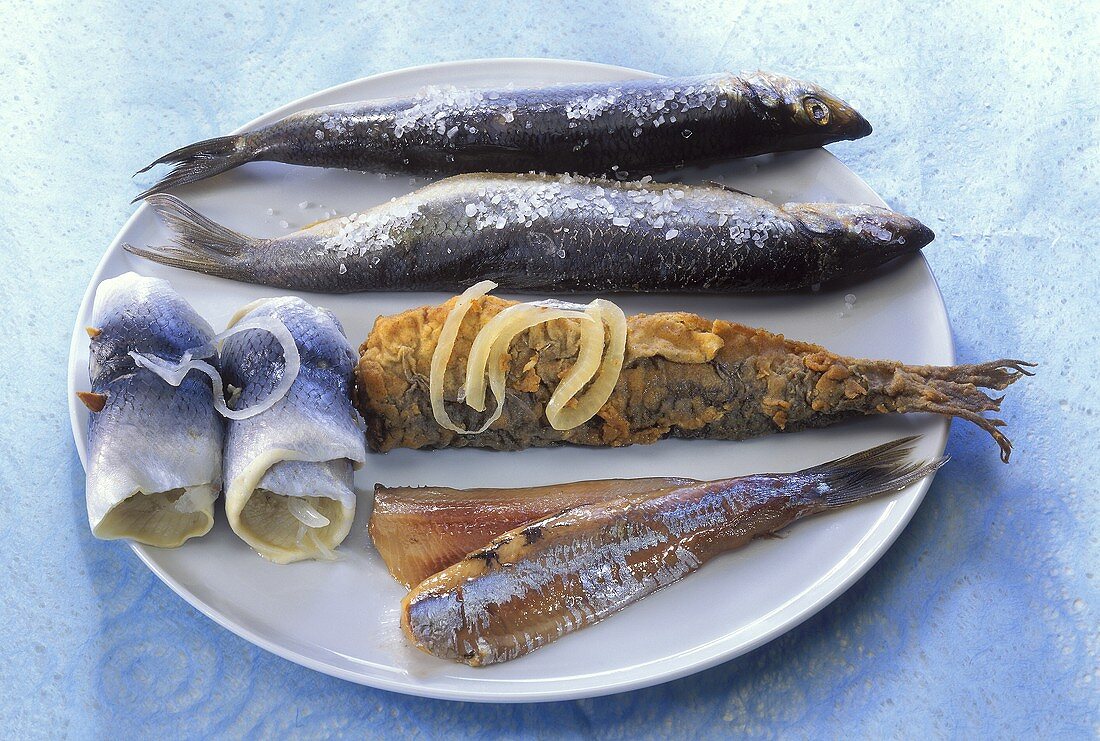 Rollmops, matjes fillet, red herring and salted herring