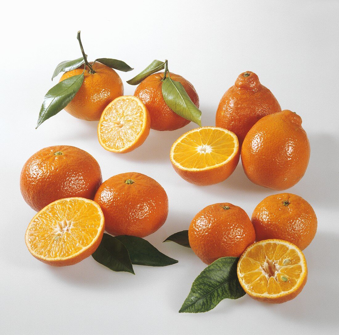 Citrus fruits (clemenvilla, tangelo, clementine, minneola)