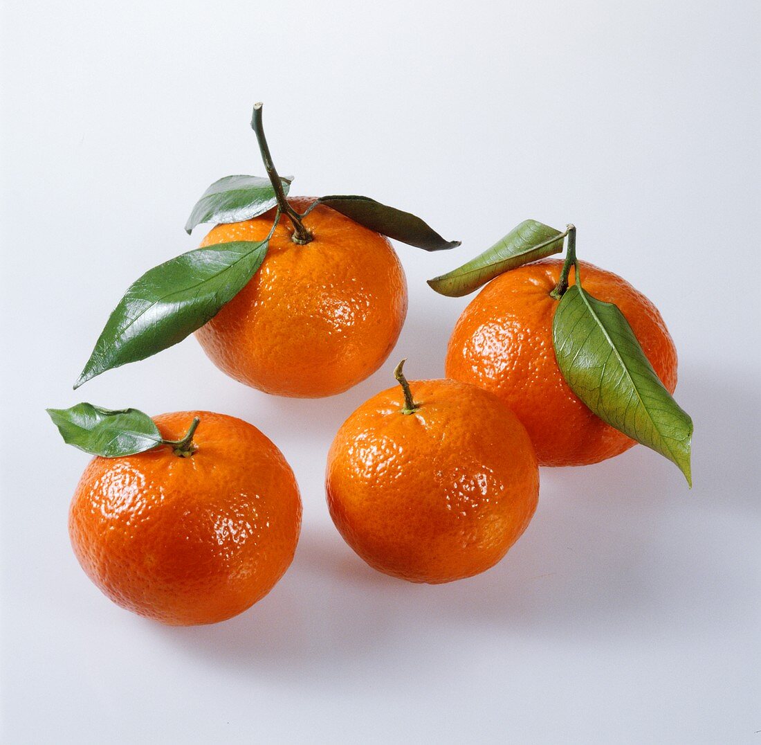 Four clementines with leaves