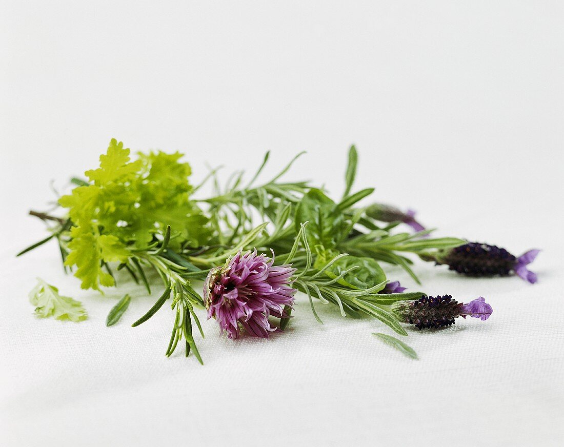 Bunch of herbs with rosemary