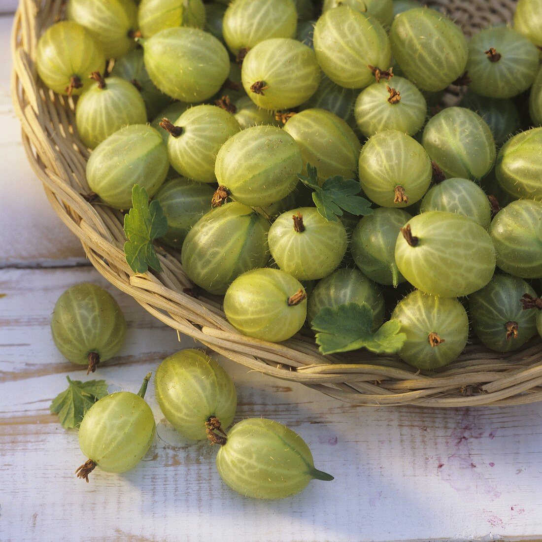 Gooseberries in basket