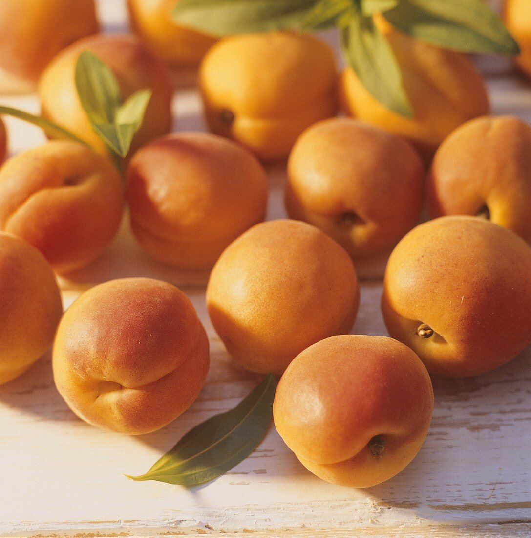 Apricots