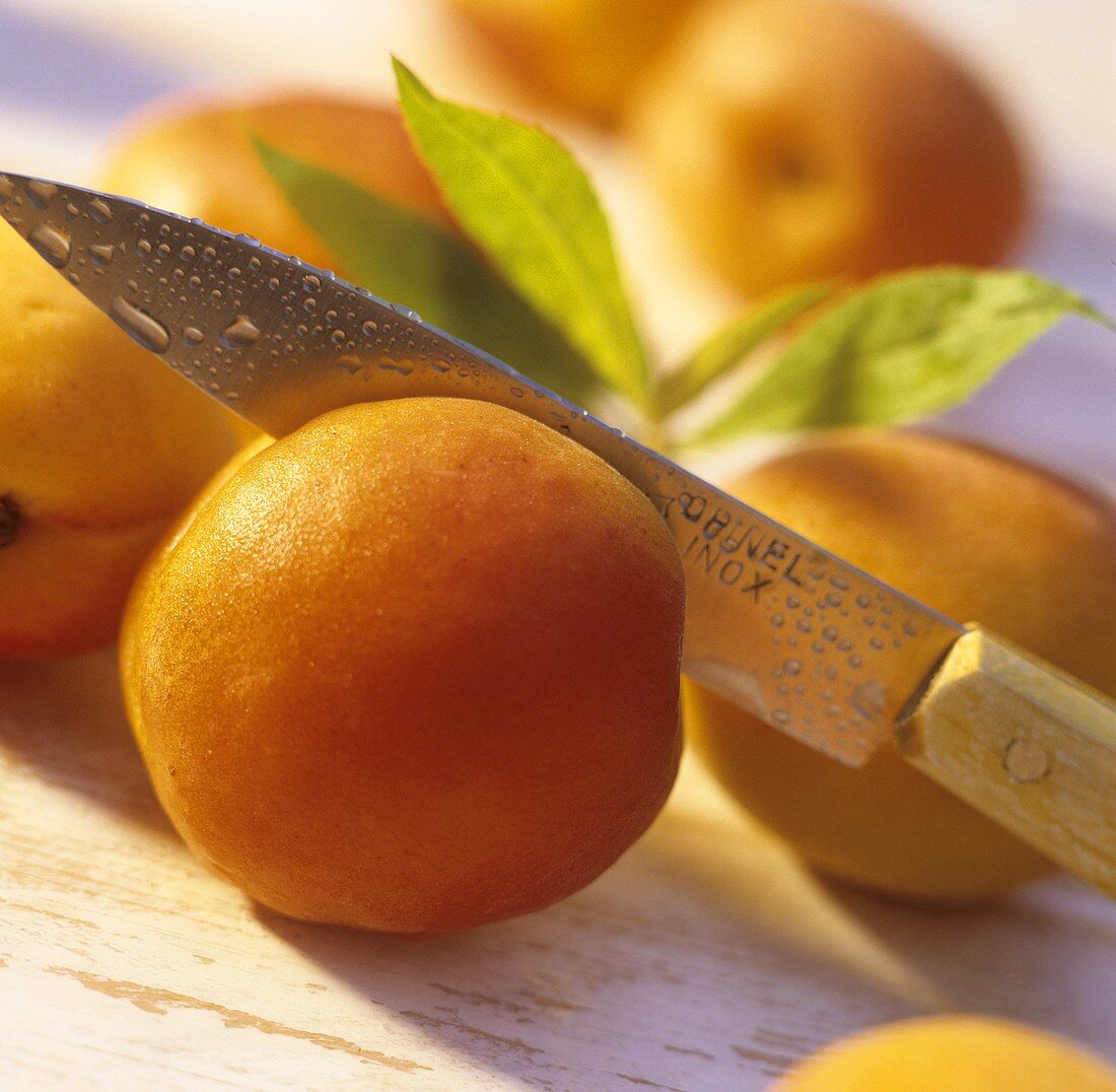 Halving apricots