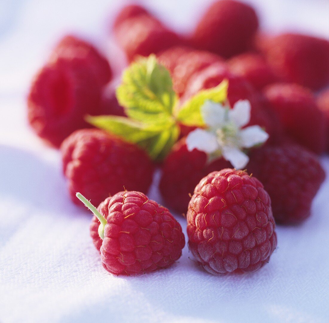 Himbeeren mit Blüte