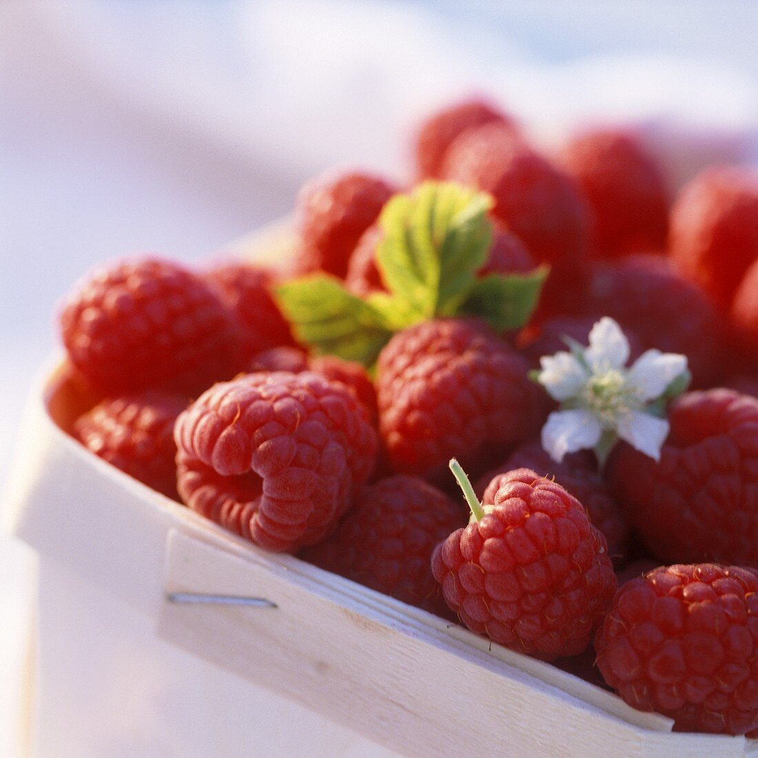 Raspberries with flowers in punnet