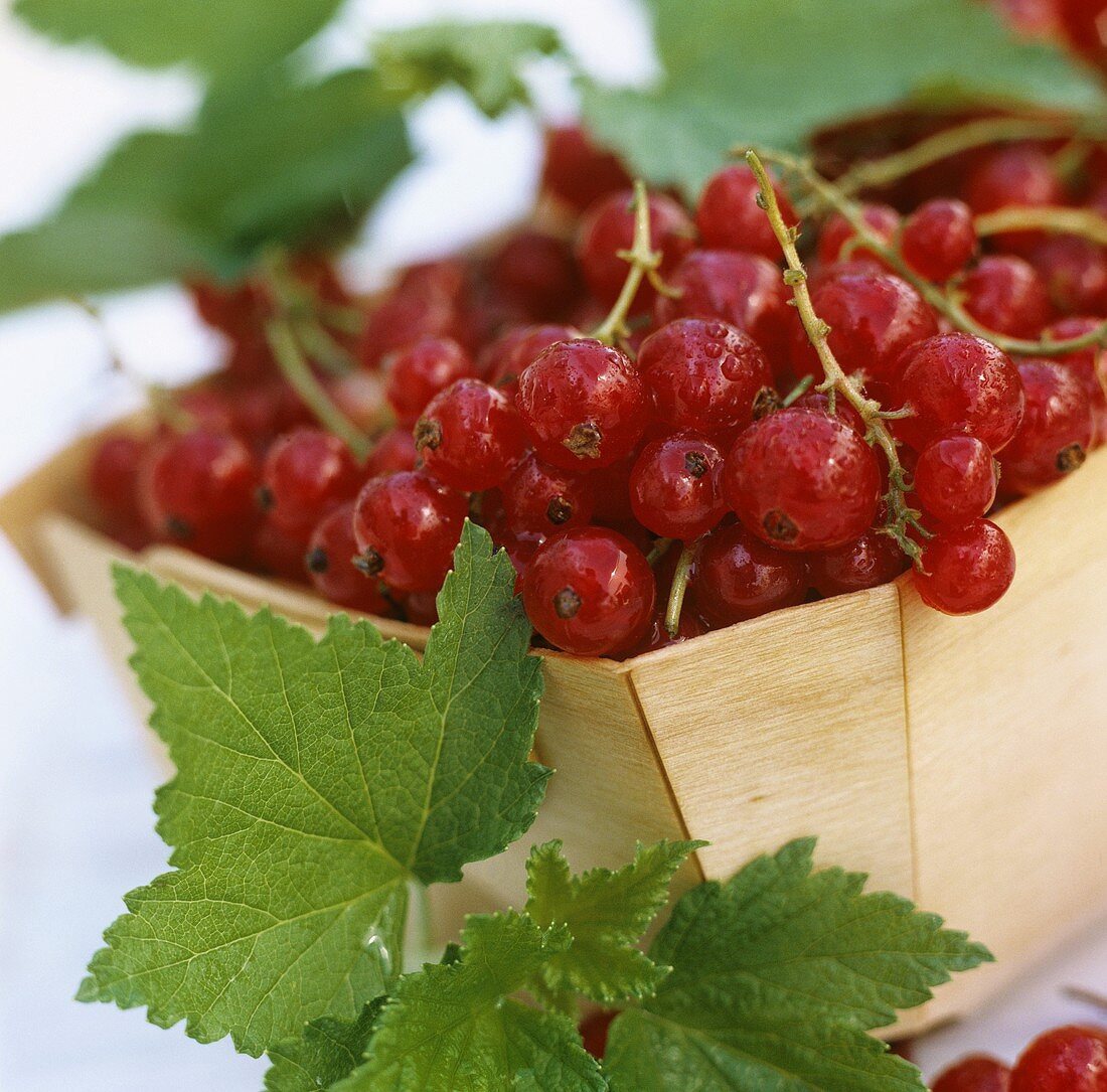 Red currants with leaves in wooden bowl