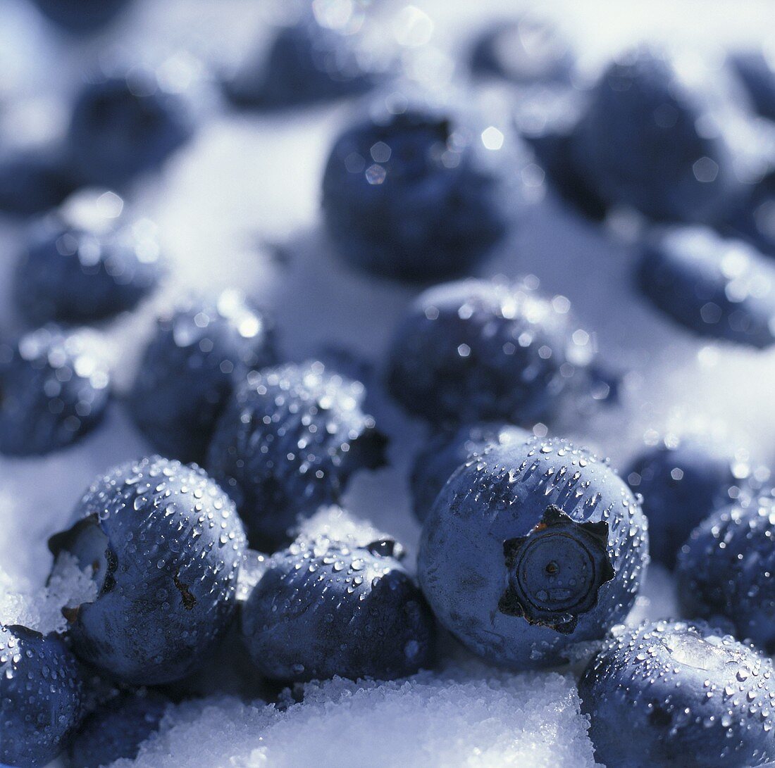 Blueberries on granulated sugar