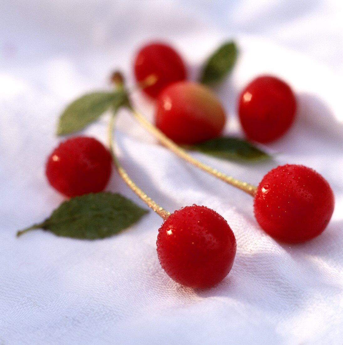 A few cherries with drops of water