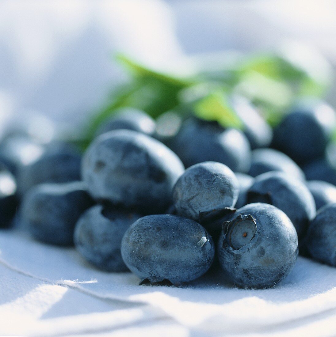 Blueberries with leaves