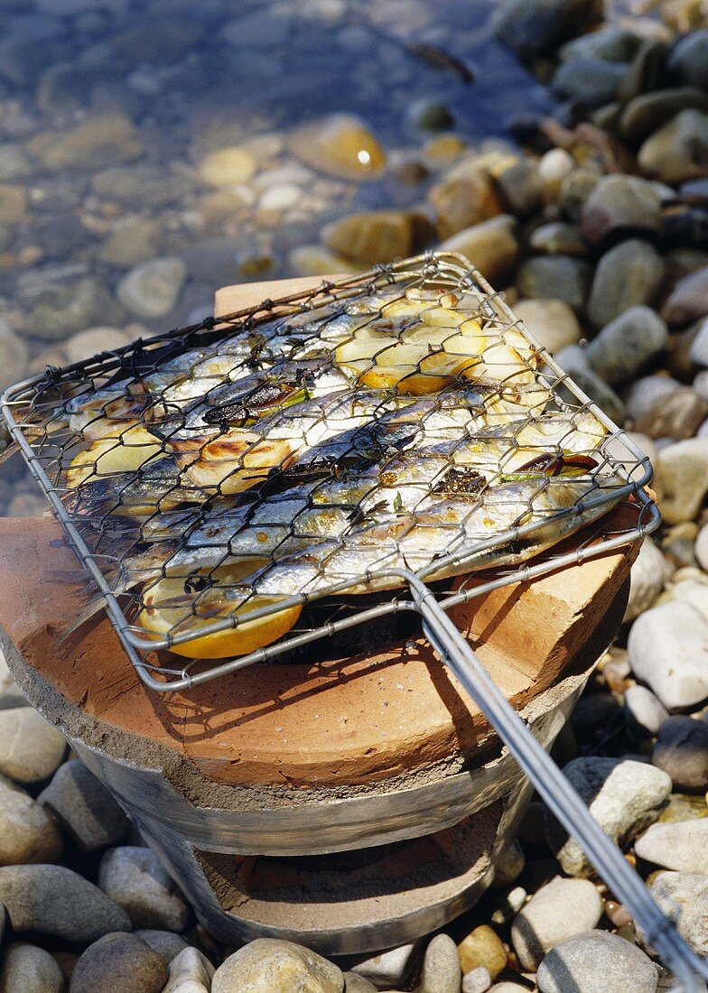 Sardines in barbecue tongs