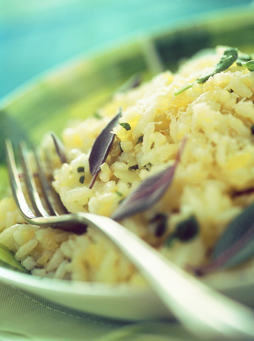 Risotto alla salvia (risotto with sage), Umbria, Italy