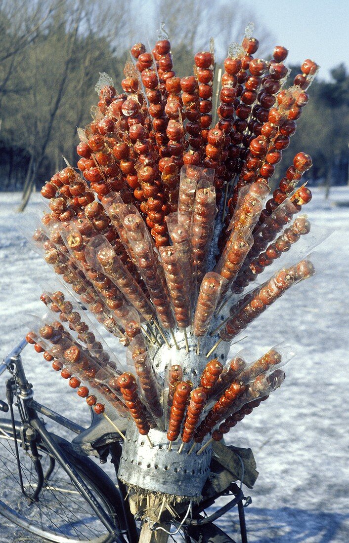 Tang Hulu: candied rose hips on a bicycle (Northern China)