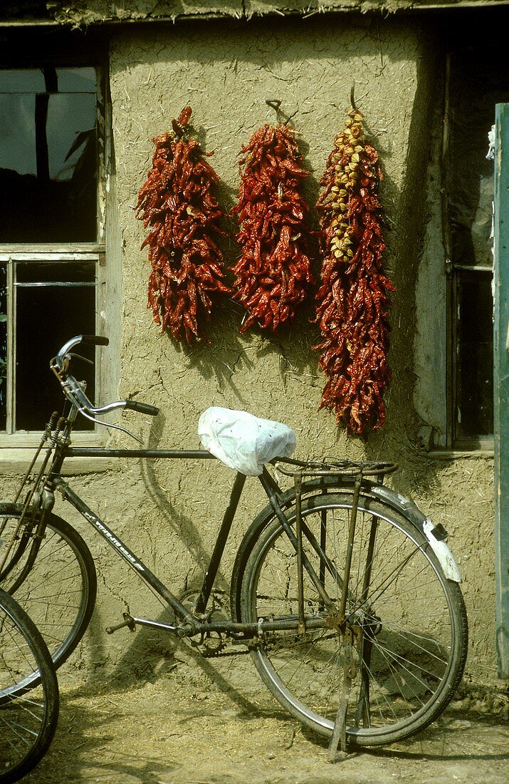 Red chili peppers hanging up to dry