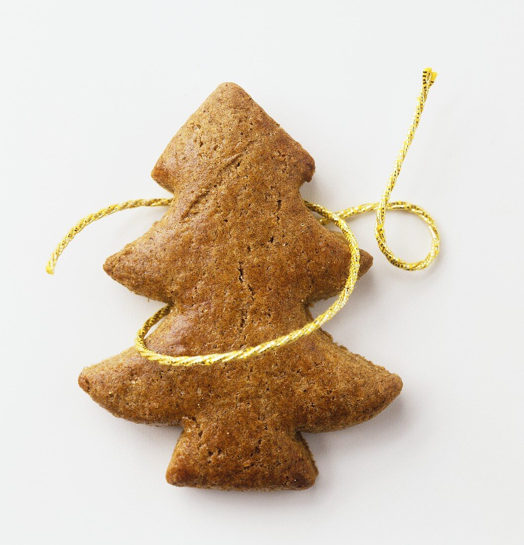 Fir tree biscuits in gingerbread dough